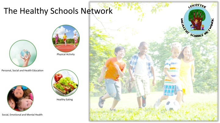 the healthy schools network n.w