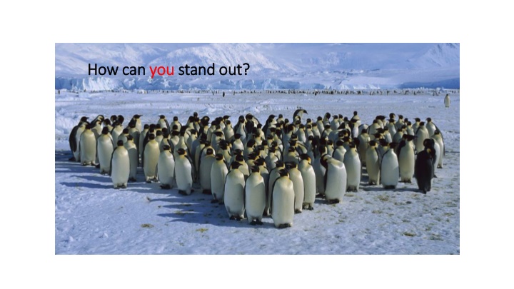 how can how can you n.w
