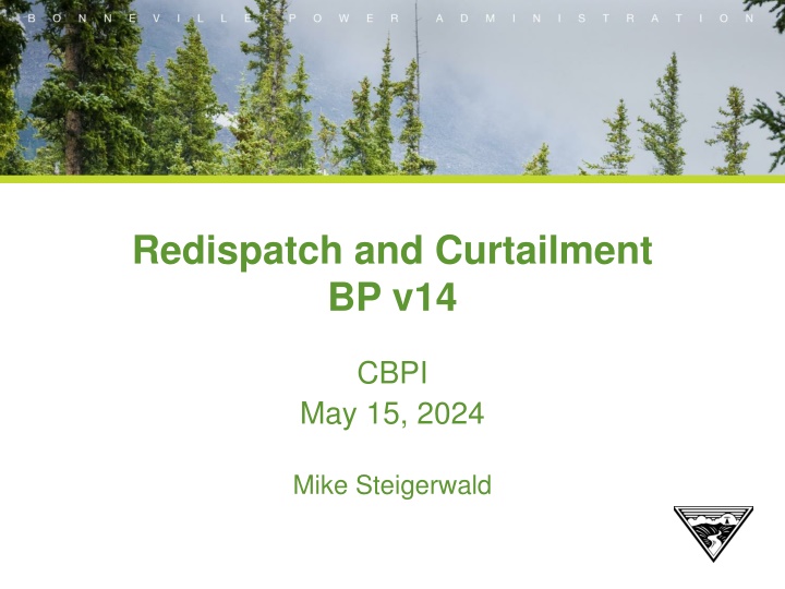 redispatch and curtailment bp v14 n.w