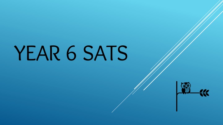 year 6 sats n.w