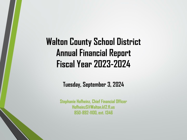 walton county school district annual financial n.w