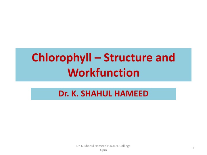 chlorophyll structure and workfunction n.w