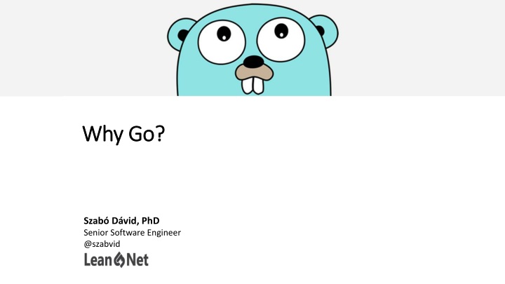 why go why go n.w