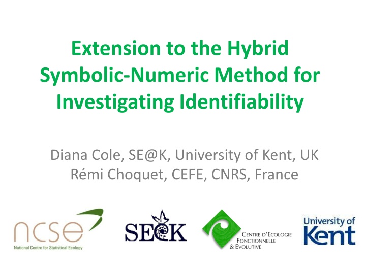 extension to the hybrid symbolic numeric method n.w