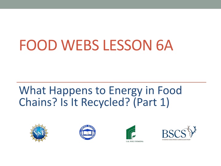 food webs lesson 6a n.w