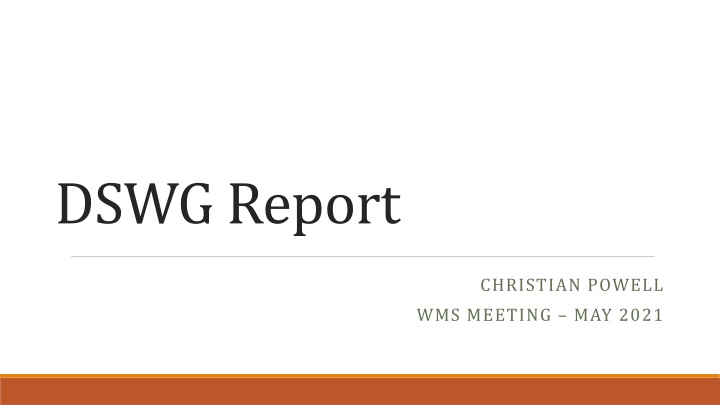 dswg report n.w