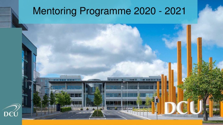 mentoring programme 2020 2021 n.w