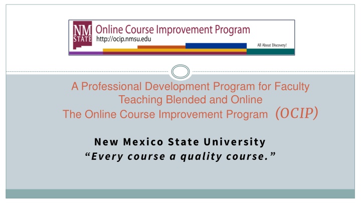 a professional development program for faculty n.w
