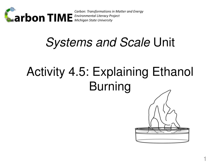 carbon transformations in matter and energy n.w
