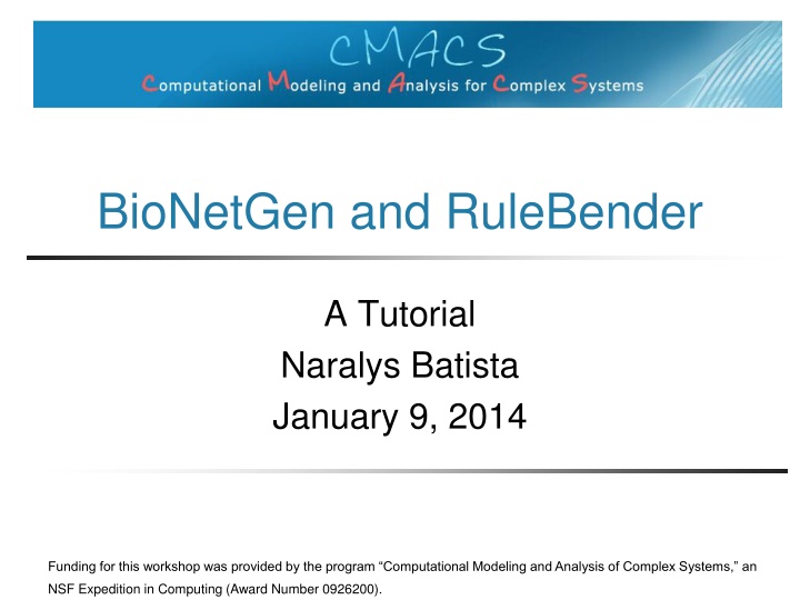 bionetgen and rulebender n.w
