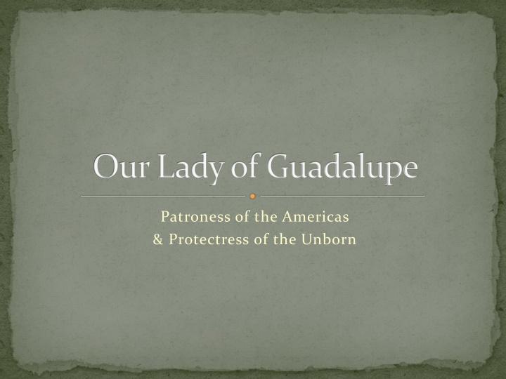 our lady of guadalupe n.w