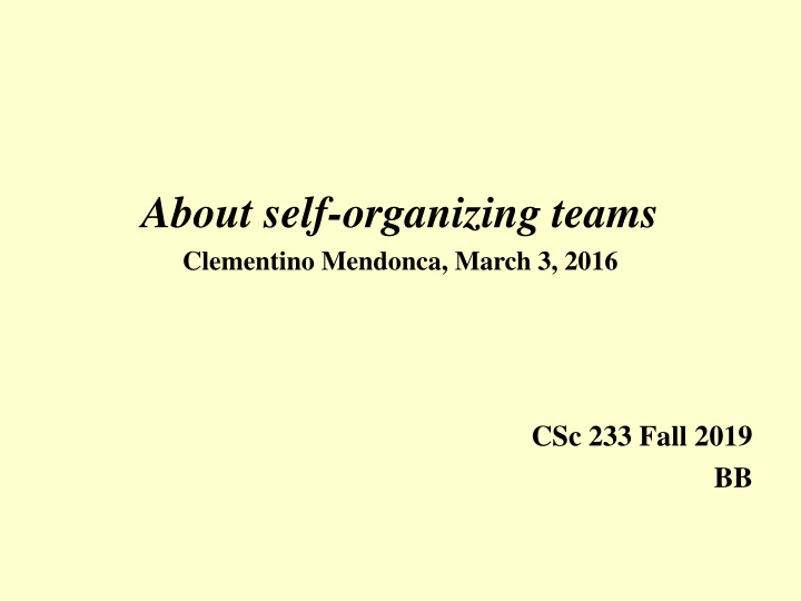 about self organizing teams clementino mendonca n.w