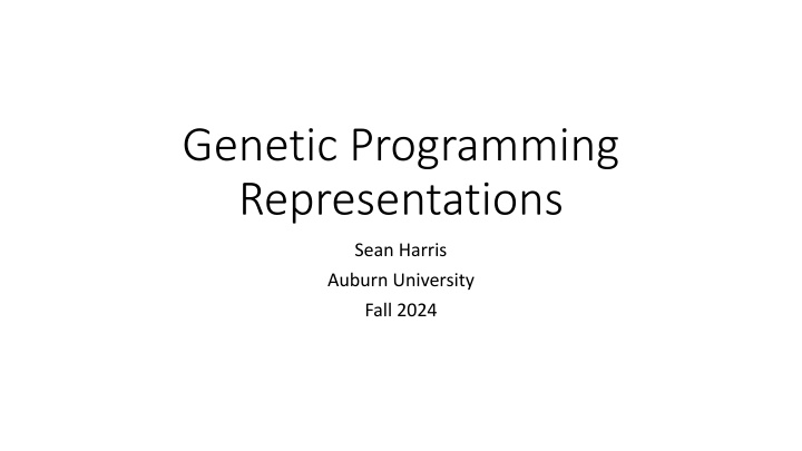 genetic programming representations n.w