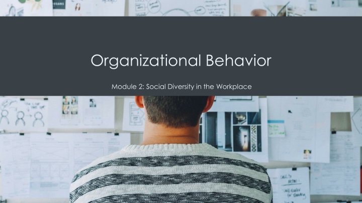 organizational behavior n.w