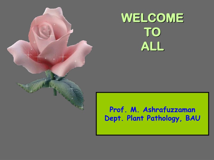 welcome welcome to to all all n.w