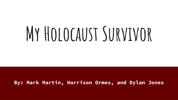 my holocaust survivor n.w