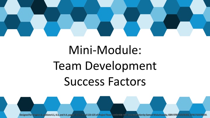 mini module team development success factors n.w