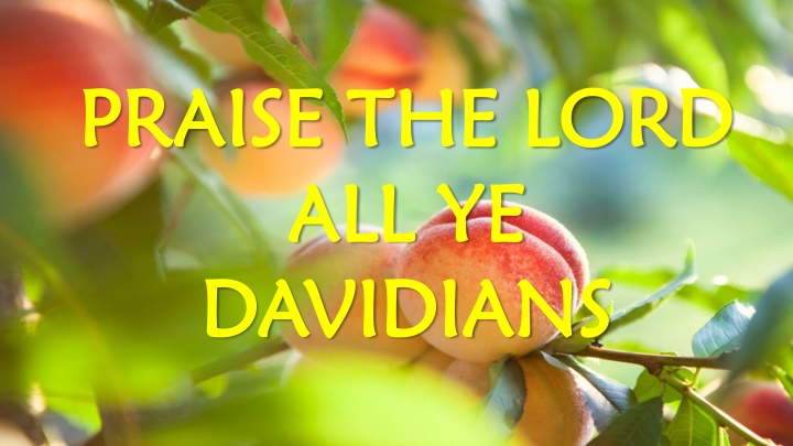 praise the lord praise the lord n.w