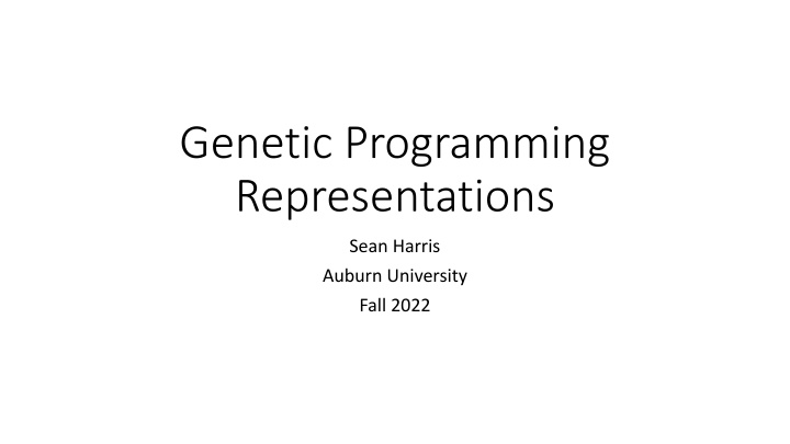 genetic programming representations n.w