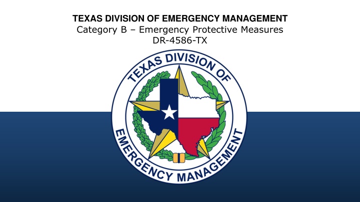 texas division of emergency management n.w