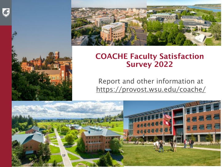 coache faculty satisfaction survey 2022 n.w
