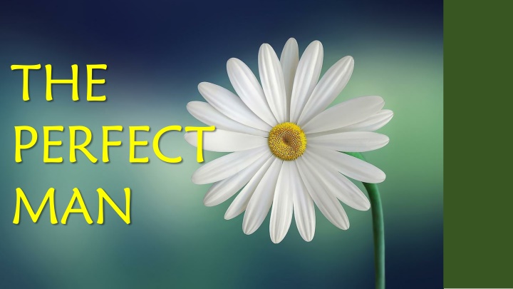 the perfect man n.w