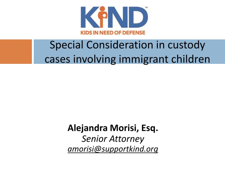 special consideration in custody cases involving n.w