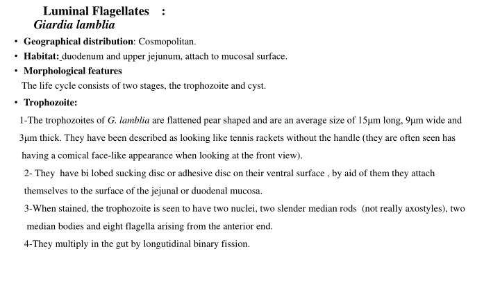 luminal flagellates giardia lamblia geographical n.w