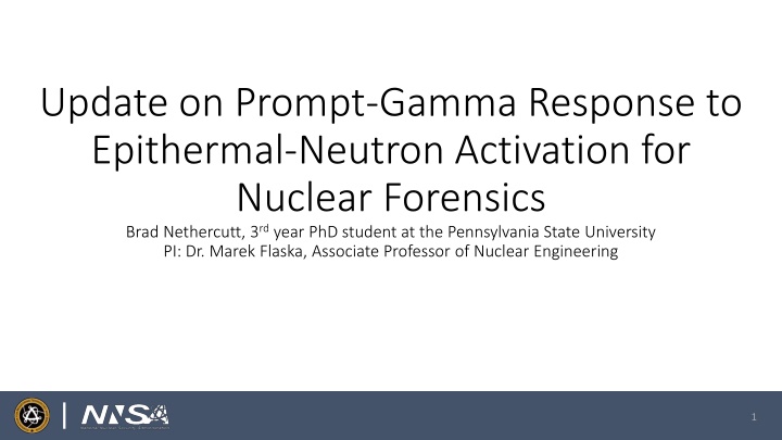update on prompt gamma response to epithermal n.w