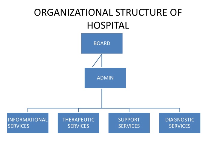 organizational structure of hospital n.w