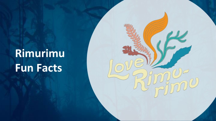 rimurimu fun facts n.w