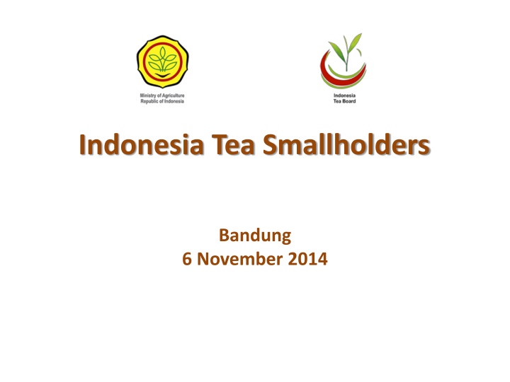 indonesia tea smallholders n.w