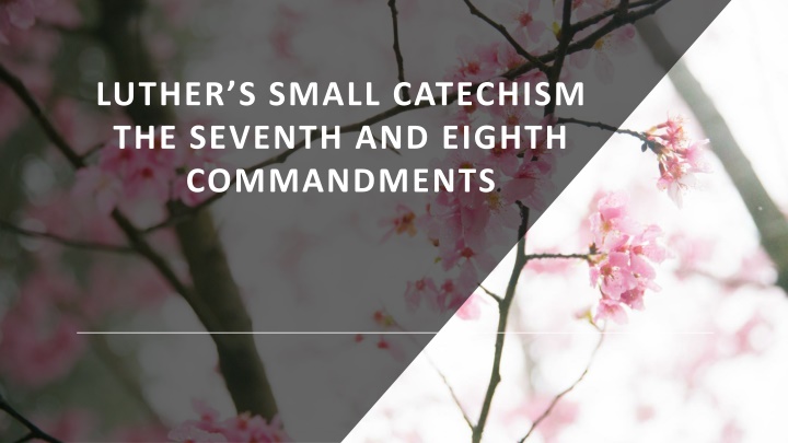 luther s small catechism the seventh and eighth n.w