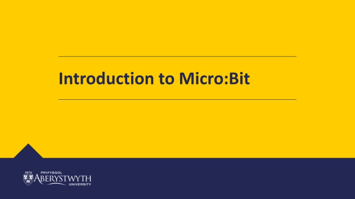 introduction to micro bit n.w