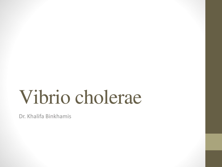 vibrio cholerae n.w