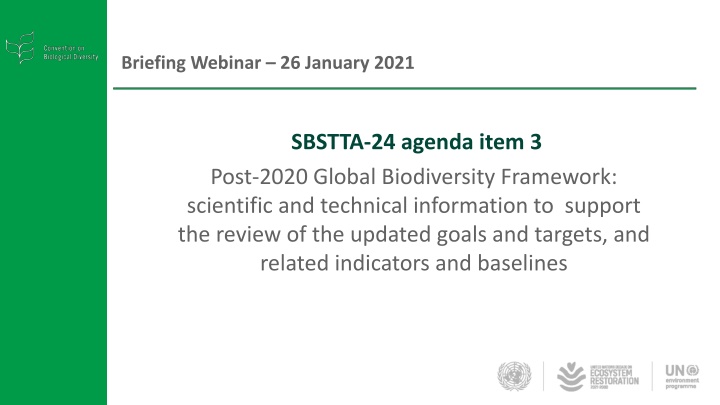 briefing webinar 26 january 2021 n.w