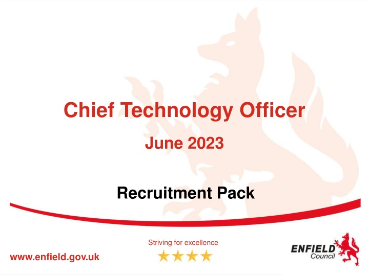 chief technology officer n.w