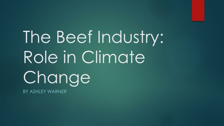 the beef industry role in climate change n.w