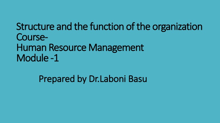 structure and the function of the organization n.w