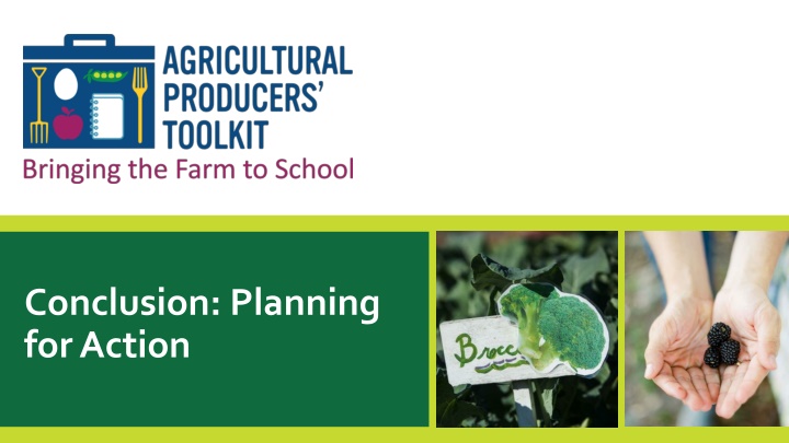 conclusion planning for action n.w