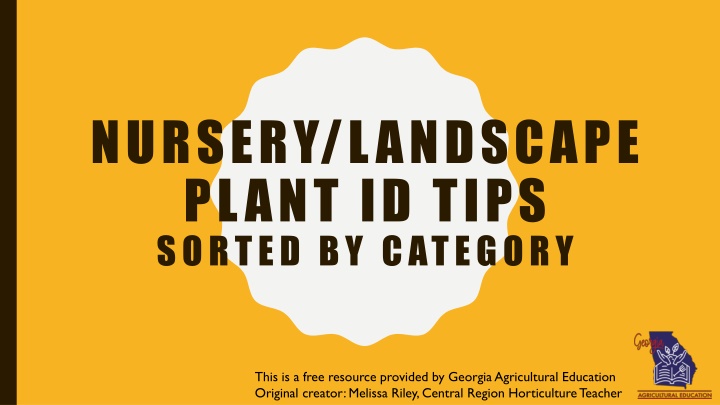 Nursery & Landscape Plant ID Tips Sorted by Category