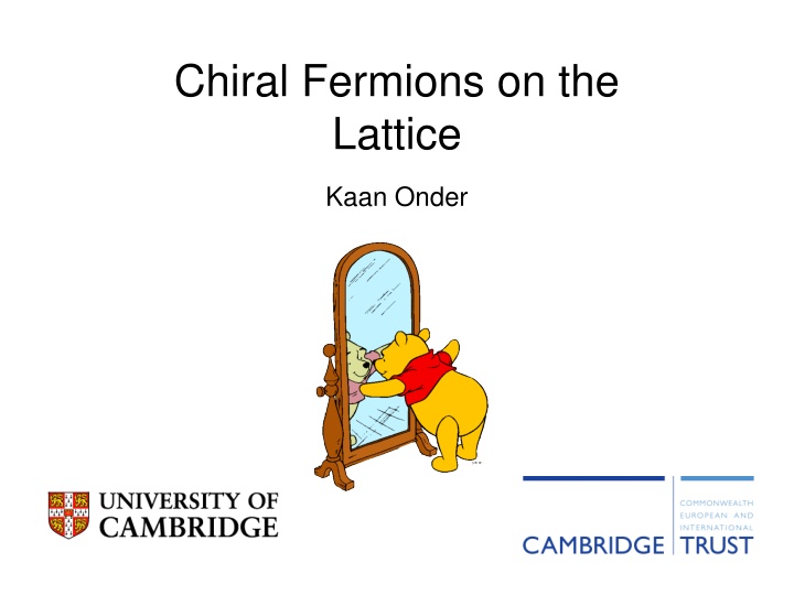 chiral fermions on the lattice n.w