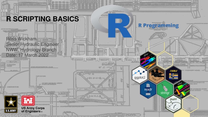 r scripting basics n.w