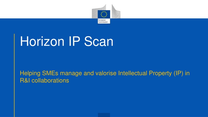 horizon ip scan n.w