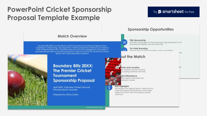 powerpoint cricket sponsorship proposal template n.w