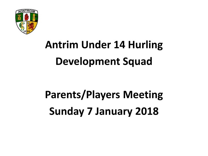 antrim under 14 hurling development squad n.w