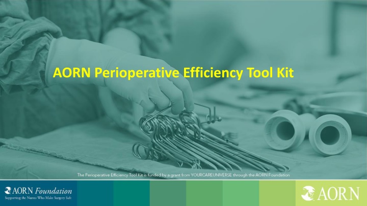 aorn perioperative efficiency tool kit n.w