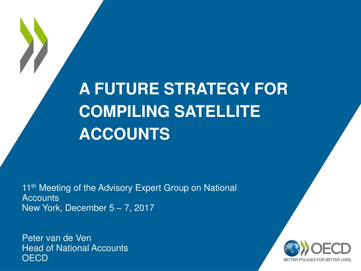 a future strategy for compiling satellite accounts n.w