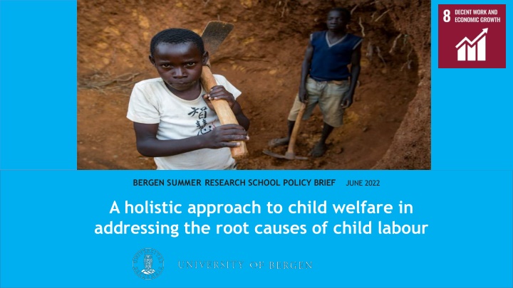 bergen summer research school policy brief june n.w