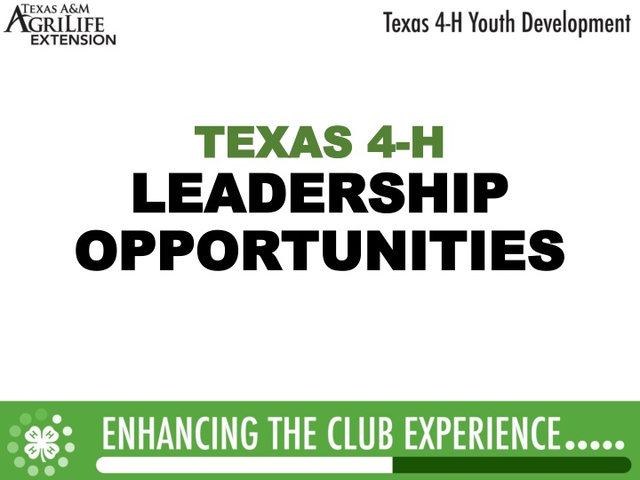 texas 4 texas 4 h leadership leadership n.w